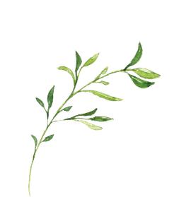 leaf left