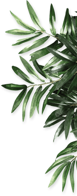 leaf right